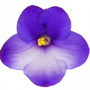 színes női táskák